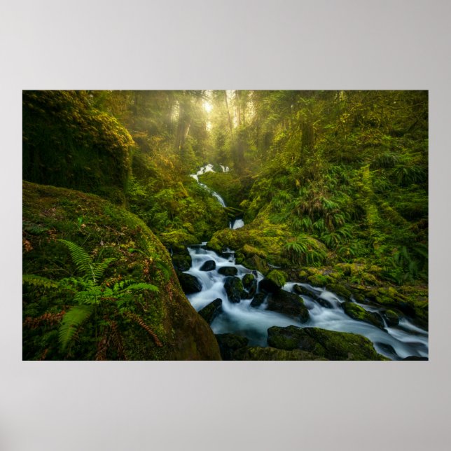 Vattenfall | Olympic National Park, Washington Poster (Framsidan)