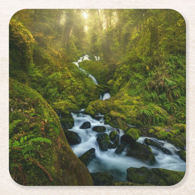 Vattenfall | Olympic National Park, Washington Underlägg Papper Kvadrat (Framsidan)