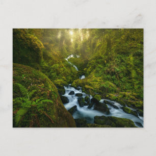 Vattenfall Olympic National Park, Washington Vykort