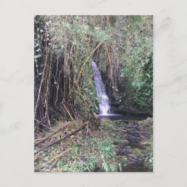 Vattenfall på Akaka Falls-spåret Vykort (Framsida)