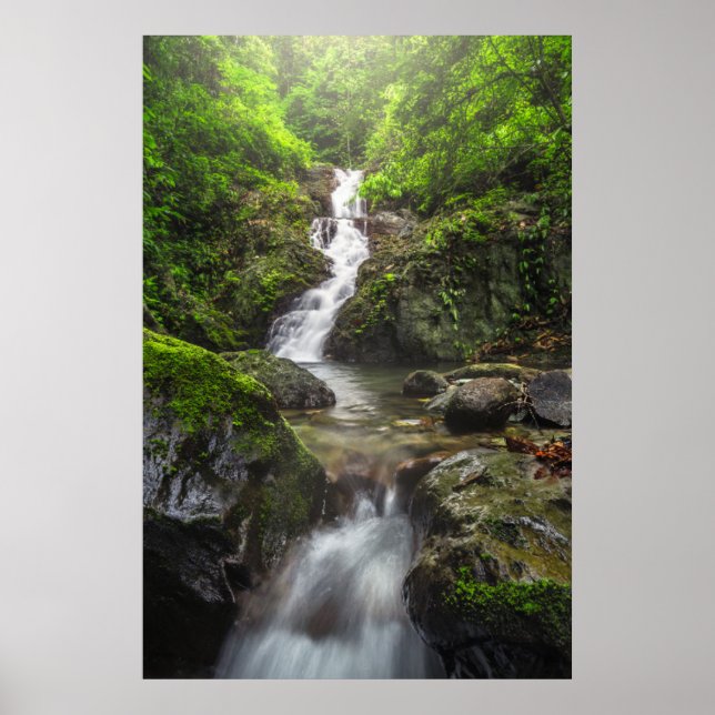 Vattenfall | Phayao Mountain National Park Poster (Framsidan)