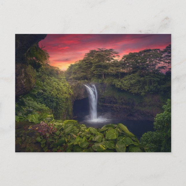Vattenfall | Rainbow Falls, Hilo, Hawaii Vykort (Framsida)