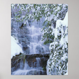 Vattenfall, Sequoia och kungkanjonmedborgare Poster