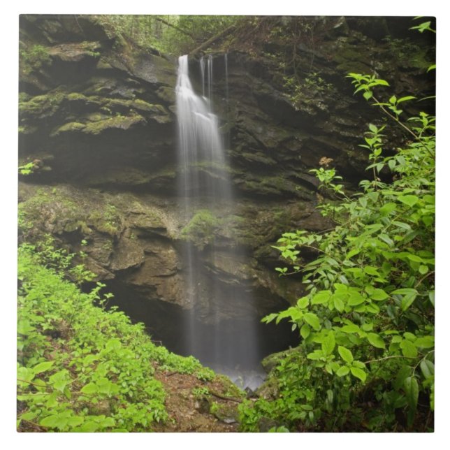 Vattenfall som faller i sjunk, Whiteoak Sink. Kakelplatta (Framsidan)