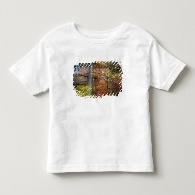 Vattenfall, stor tandlönn Acer T Shirt (Framsida)
