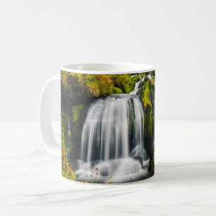 Vattenfall   Triberg-vattenfall, Tysklanda Kaffemugg