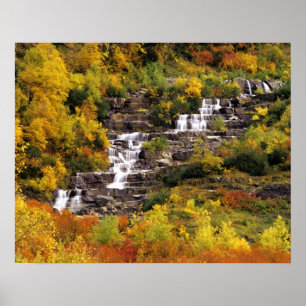 Vattenfall under Mt Cannon i Glacier National Poster