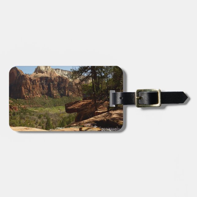 Vattenfall vid Emerald Pools i Zion National Park Bagagebricka (Horisontell Framsida)