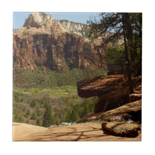 Vattenfall vid Emerald Pools i Zion National Park Kakelplatta