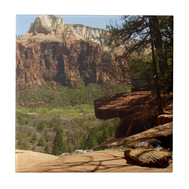 Vattenfall vid Emerald Pools i Zion National Park Kakelplatta (Framsidan)