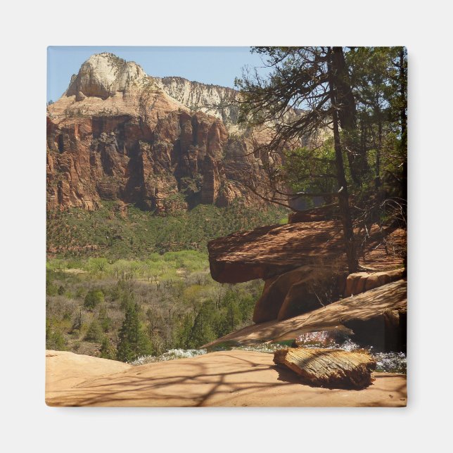 Vattenfall vid Emerald Pools i Zion National Park Magnet (Framsidan)
