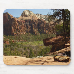 Vattenfall vid Emerald Pools i Zion National Park Musmatta