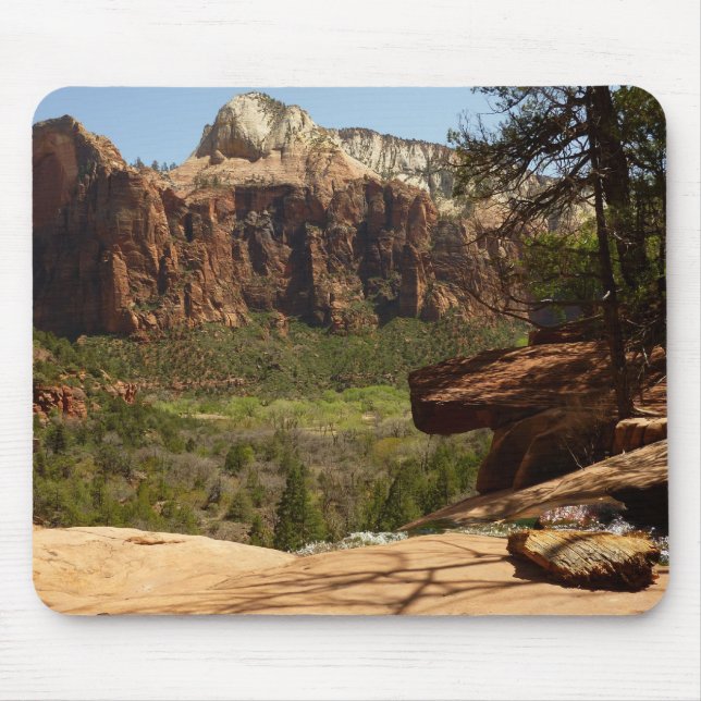 Vattenfall vid Emerald Pools i Zion National Park Musmatta (Framsidan)
