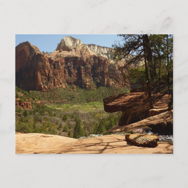 Vattenfall vid Emerald Pools i Zion National Park Vykort (Framsida)