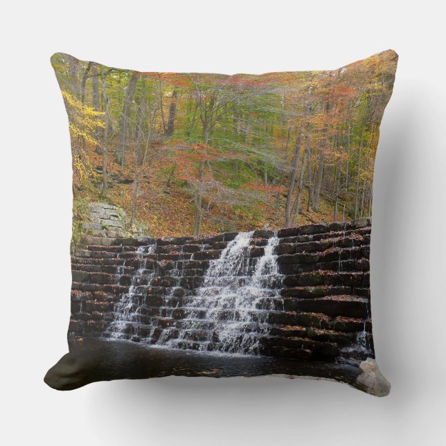 Vattenfall vid Laurel Hill State Park I Kudde (Framsida)