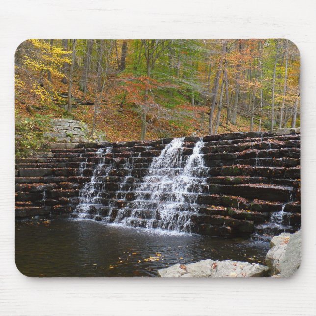 Vattenfall vid Laurel Hill State Park I Musmatta (Framsidan)