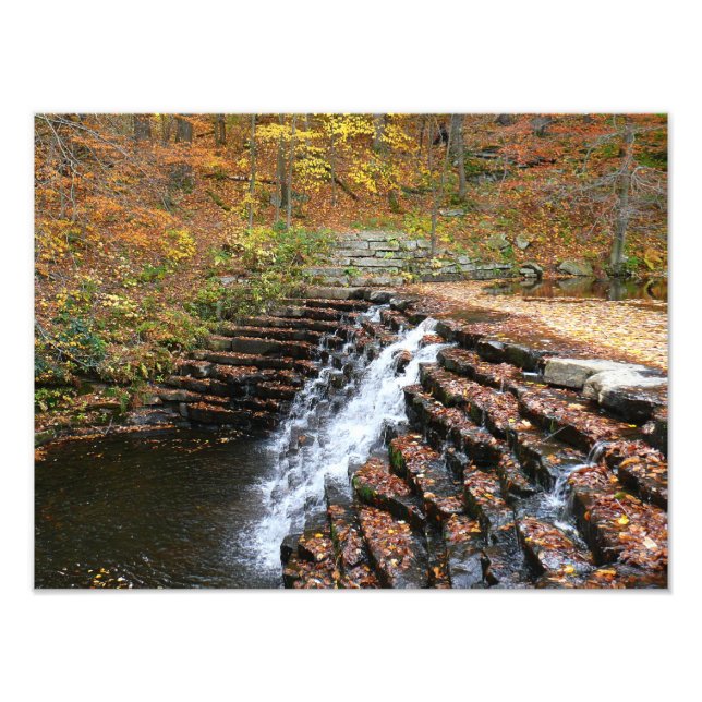 Vattenfall vid Laurel Hill State Park II Fototryck (Framsidan)