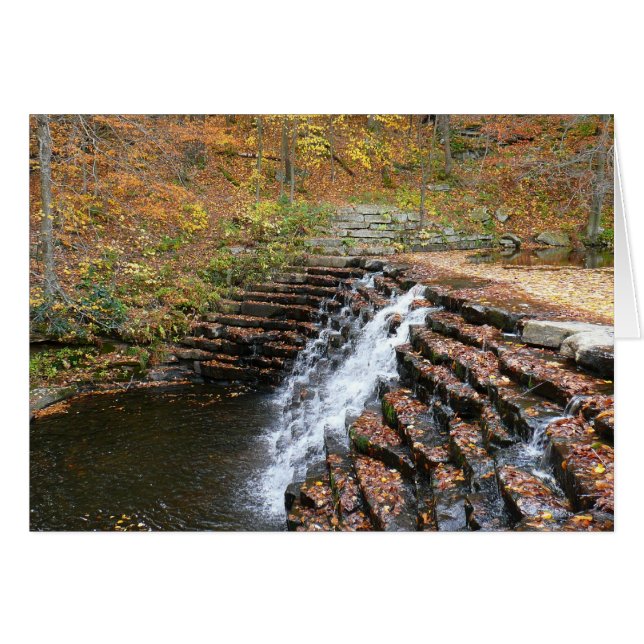 Vattenfall vid Laurel Hill State Park II Hälsningskort (Framsidan Horizontal)