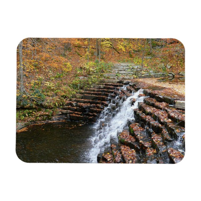 Vattenfall vid Laurel Hill State Park II Magnet (Horisontell)