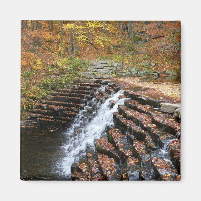 Vattenfall vid Laurel Hill State Park II Magnet (Framsidan)