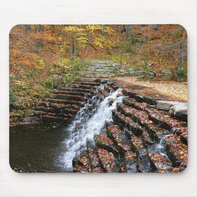 Vattenfall vid Laurel Hill State Park II Musmatta (Framsidan)