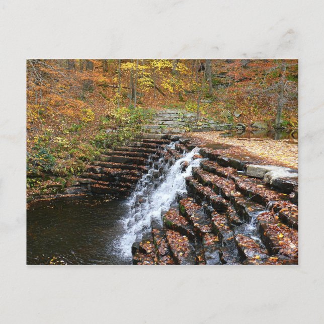 Vattenfall vid Laurel Hill State Park II Vykort (Framsida)