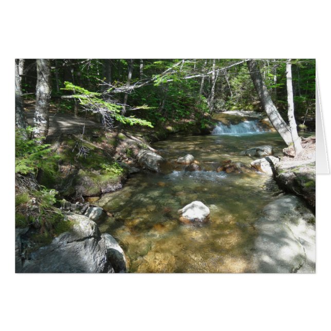 Vattenfall vid Pemigewasset River III Hälsningskort (Framsidan Horizontal)