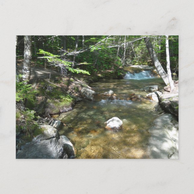 Vattenfall vid Pemigewasset River III Vykort (Framsida)