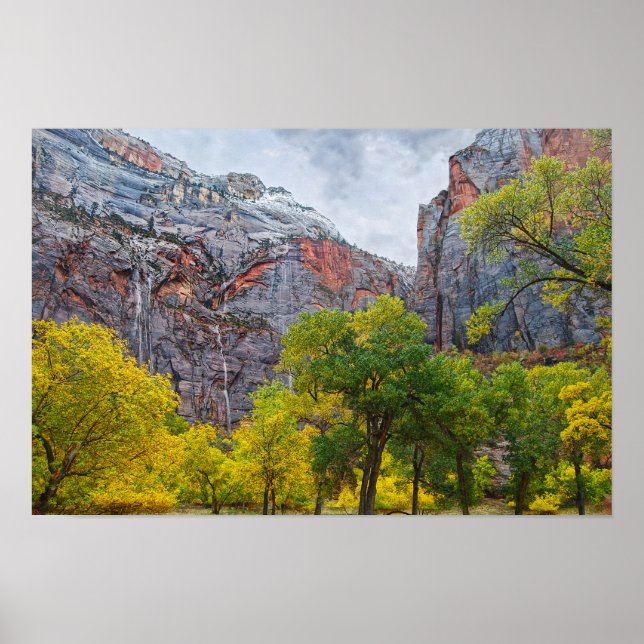 Vattenfall, Zion National Park, Utah Poster (Framsidan)