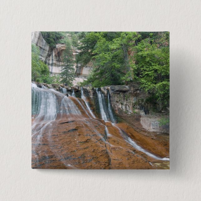 Vattenfall, Zion National Park, Utah, USA Knapp (Framsida)