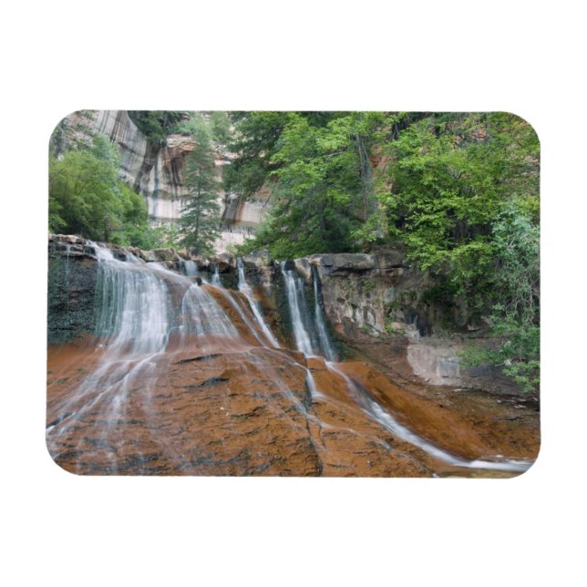 Vattenfall, Zion National Park, Utah, USA Magnet (Horisontell)