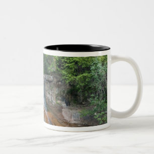 Vattenfall, Zion National Park, Utah, USA Två-Tonad Mugg