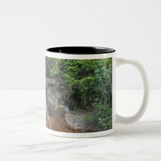 Vattenfall, Zion National Park, Utah, USA Två-Tonad Mugg (Höger)