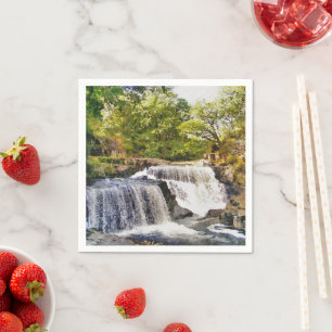 VATTENFALLAR PAPPERSSERVETT