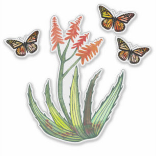 Vattenfärg Aloe Vera Succulent FLowers Butterflies Klistermärken