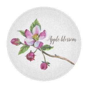Vattenfärg Apple-Blommar Botaniskt