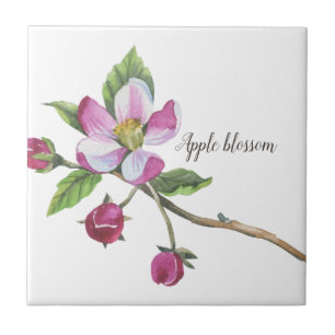 Vattenfärg Apple-Blommar Botaniskt Kakelplatta