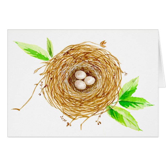 Vattenfärg Bird Nest med 3 ägg Hälsningskort (Framsidan Horizontal)