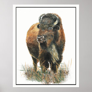 Vattenfärg Bison Buffalo Animal Natature art art Poster