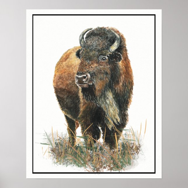 Vattenfärg Bison Buffalo Animal Natature art art Poster (Framsidan)