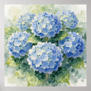 Vattenfärg Blå Hortensia Bouquet Poster