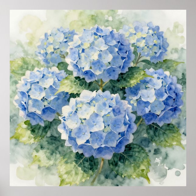 Vattenfärg Blå Hortensia Bouquet Poster (Framsidan)