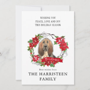 Vattenfärg Bloodhound Poinsettia jul Utandning Julkort