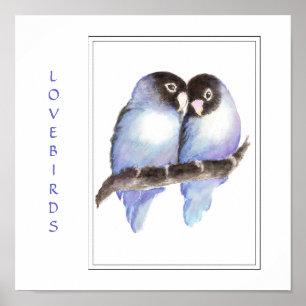 Vattenfärg Blue Lovebird - Bird Print Poster