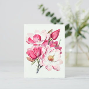 Vattenfärg Botaniskt Rosa Magnolia Flowers Vykort