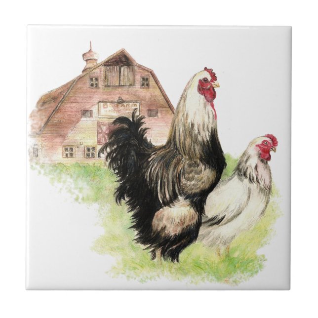 Vattenfärg Chickens Hen & Tupp Farm Bird Art Kakelplatta (Framsidan)