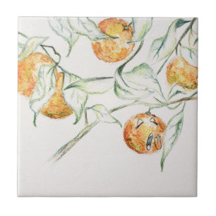 Vattenfärg Citrus Fruit Clementine Cutie Kakelplatta