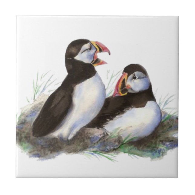 Vattenfärg Cute Puffin Bird Art Kakelplatta (Framsidan)