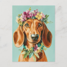 Vattenfärg Dachshund Postkort  Vykort