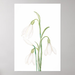 vattenfärg för angeliska snöblommor poster